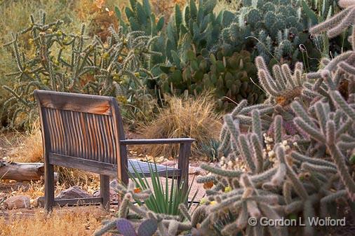 Cactus Garden Bench_72984.jpg - Photographed in the Bosque del Apache National Wildlife Refuge near San Antonio, New Mexico USA. 